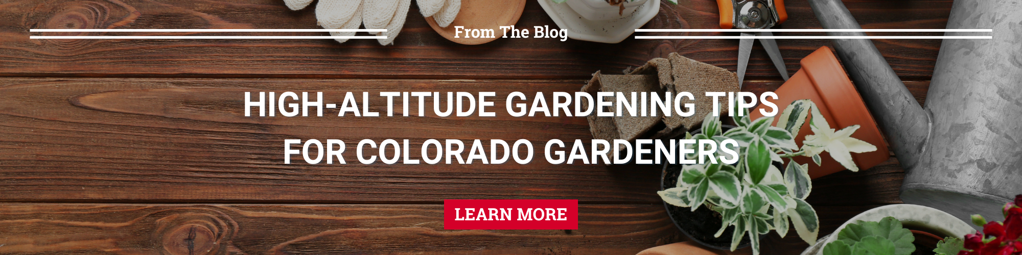 High altitude gardening tips for Colorado Gardeners