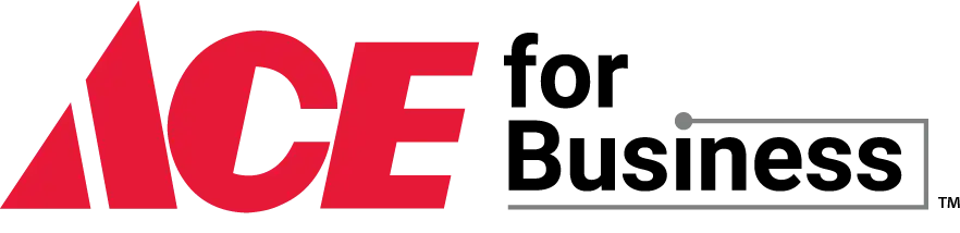 ACE for Business logo