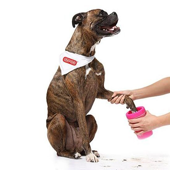 Pet Grooming Supplies